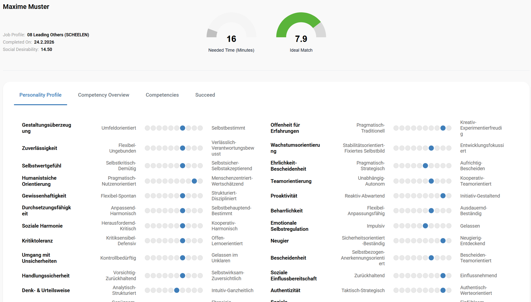 ASSESS Persönlichkeitsprofil, Beispielauswertung