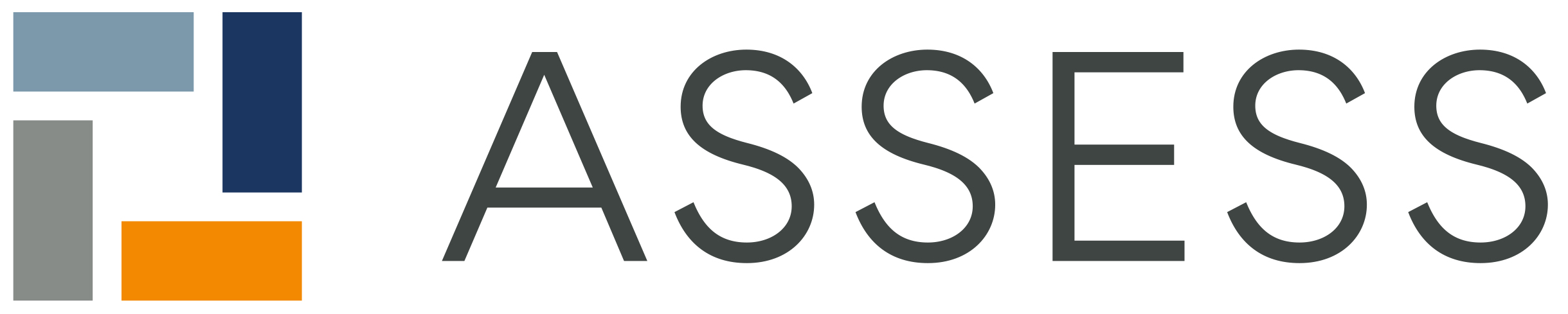ASSESS by Scheelen Logo